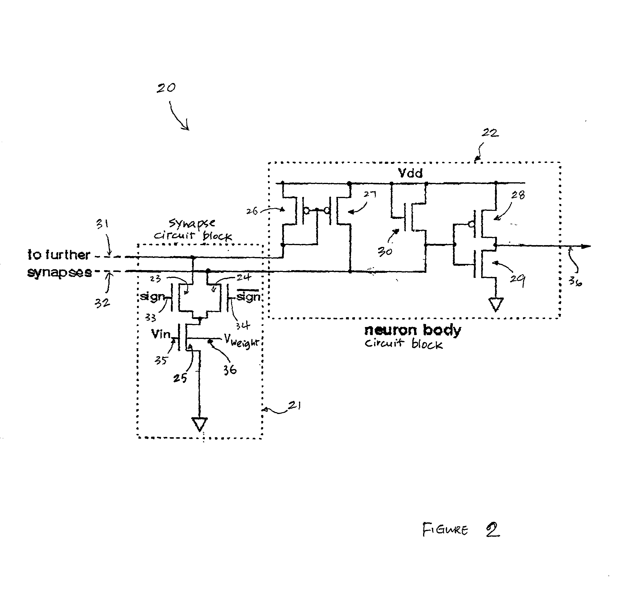 Neuron circuit