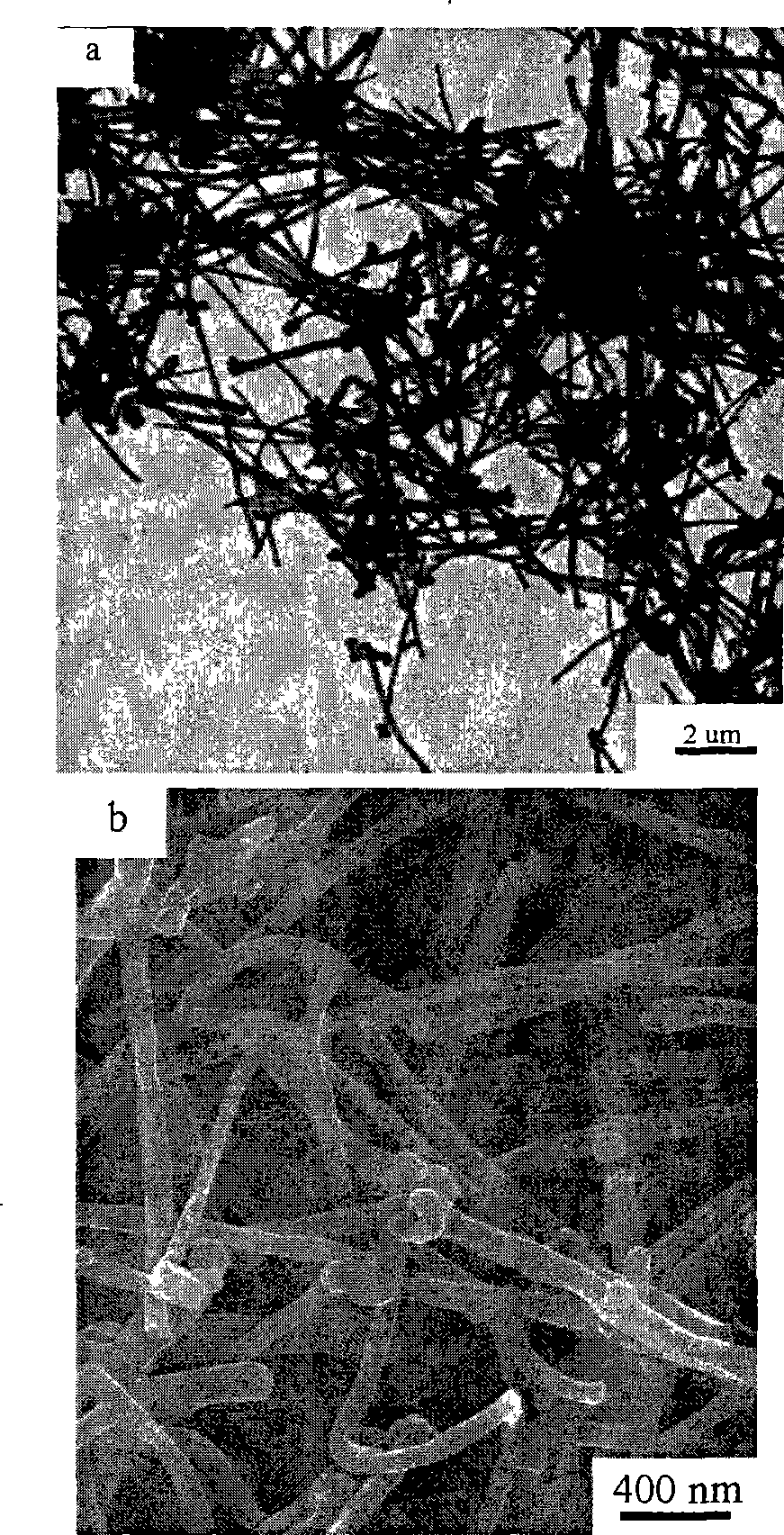 Method for preparing novel carbon nano-fiber platinum catalyst