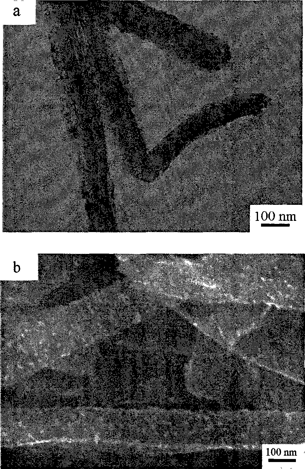 Method for preparing novel carbon nano-fiber platinum catalyst