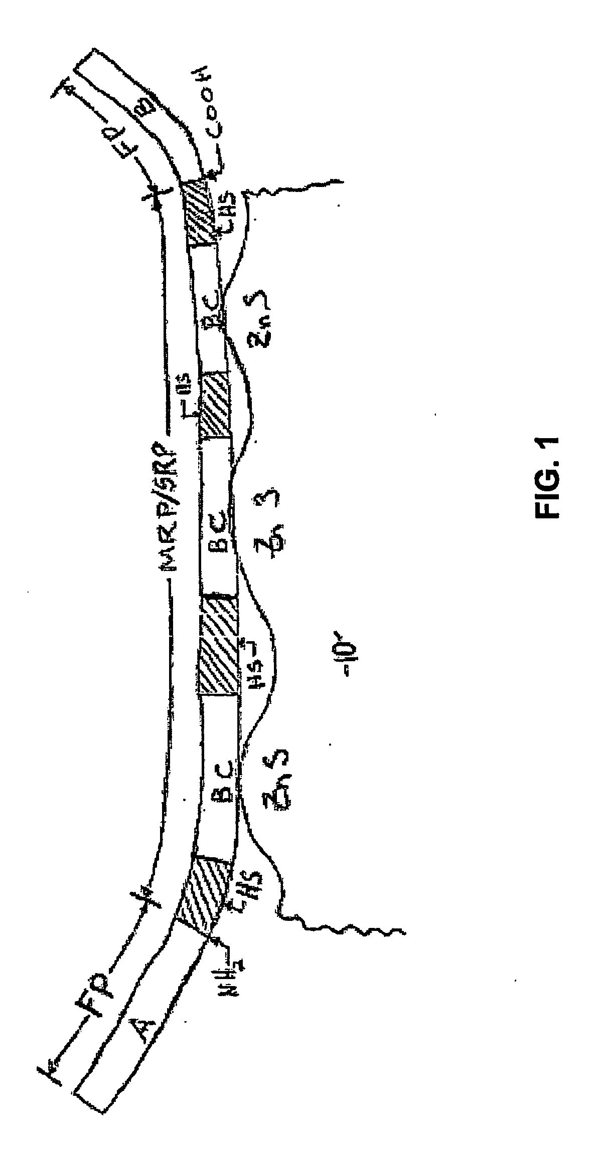 Bioactivation Of Particles