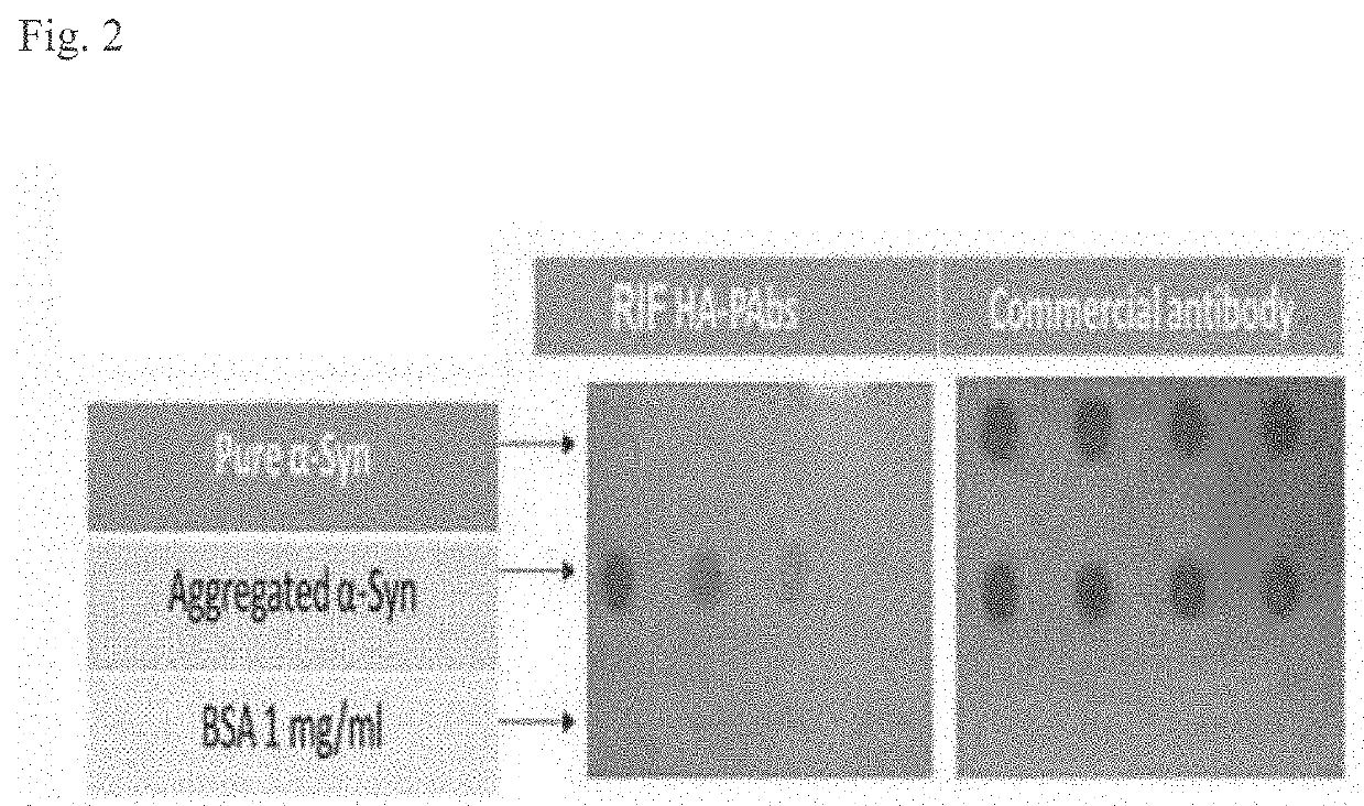 Nano-theranostics for parkinson's disease