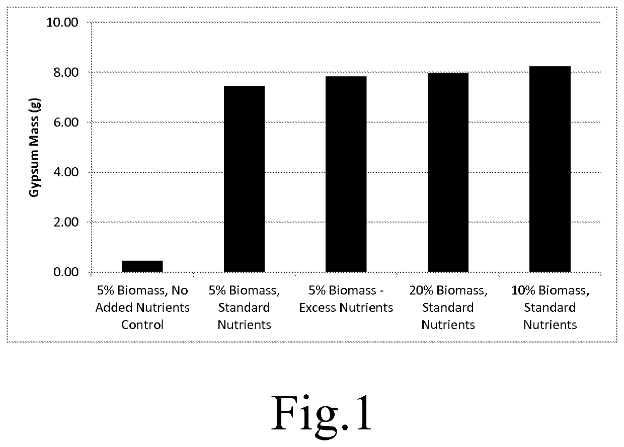 Biogeochemical transformations of flue gas desulfurization waste using sulfur oxidizing bacteria