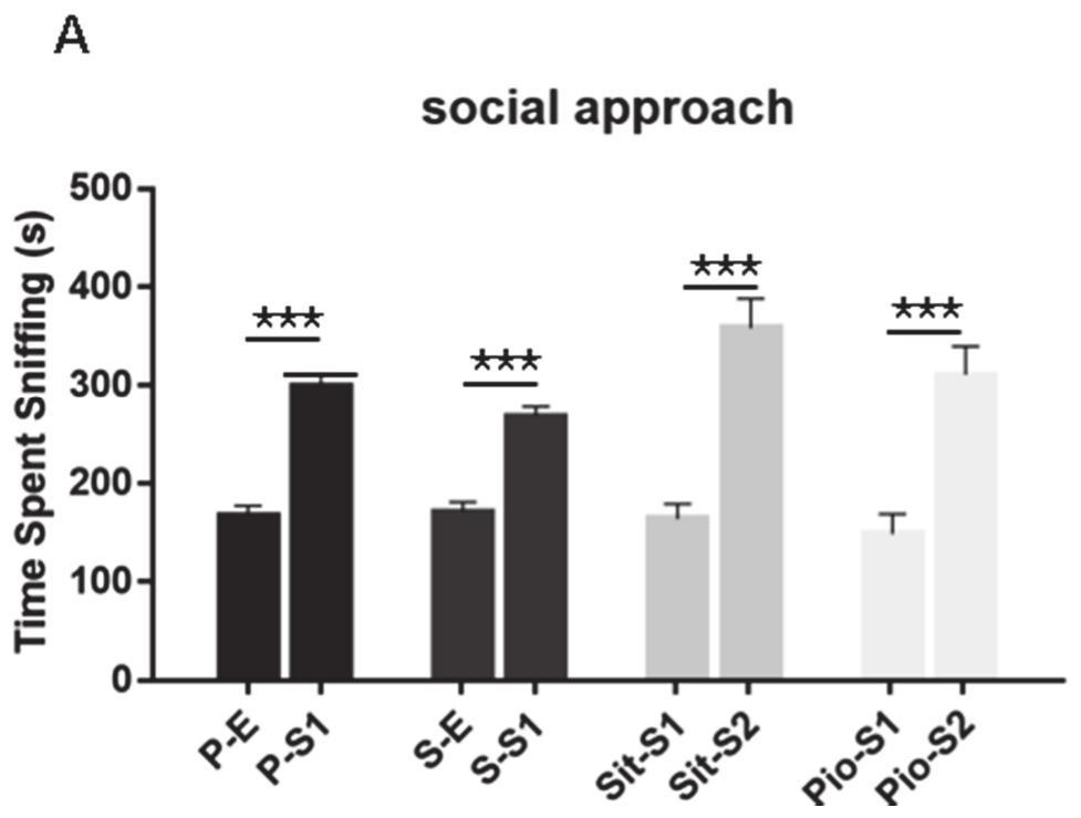 Construction method of autism animal model and corresponding application