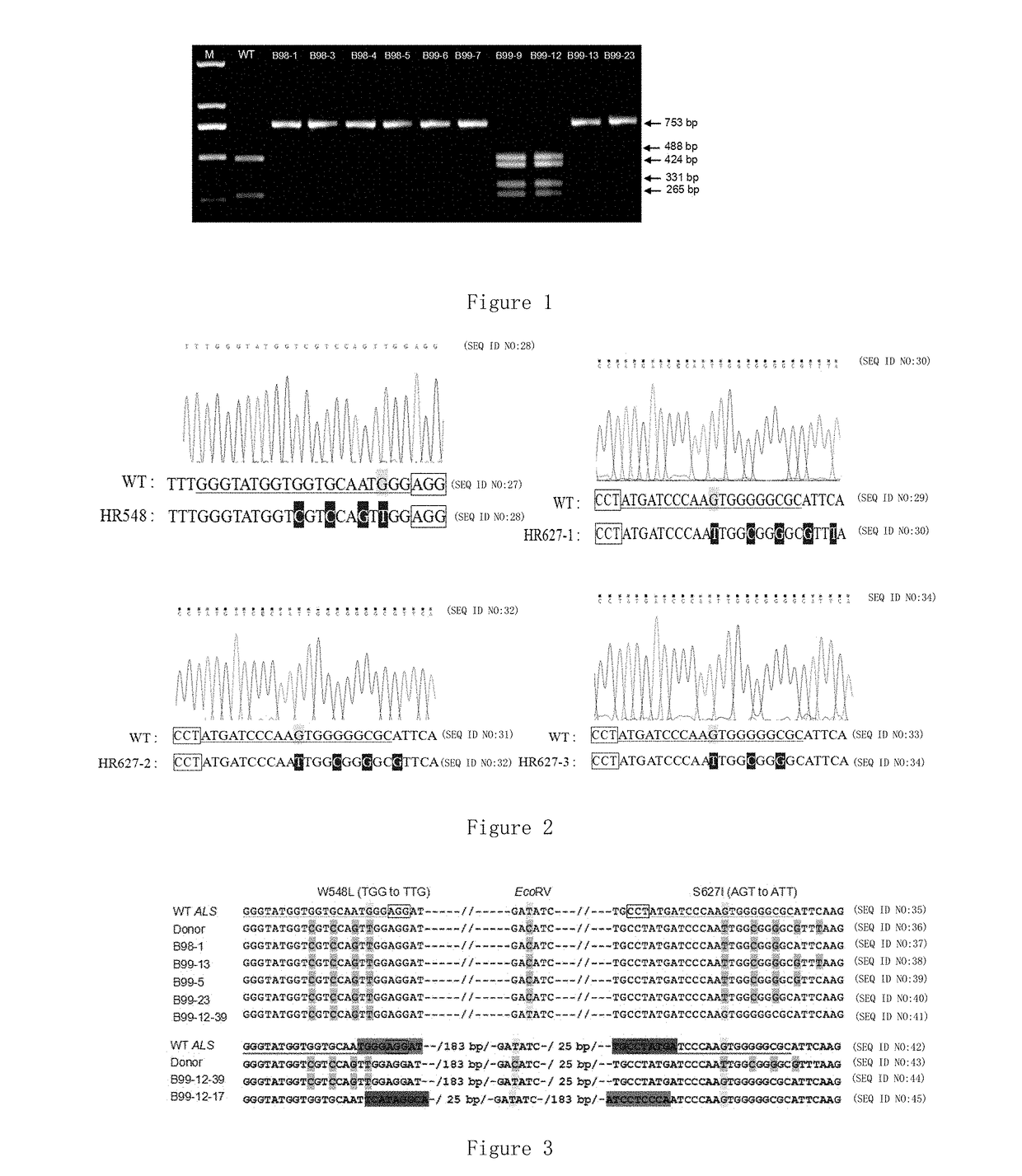 System for site-specific modification of als gene using crispr-cas9 system for production of herbicide-resistant rice and use of same