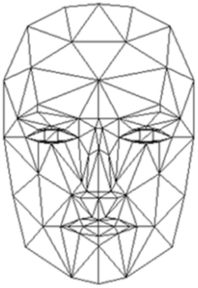 A three-dimensional head modeling method and device