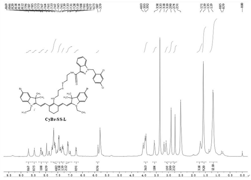 Photosensitizer as well as preparation method and application for improving photodynamic performance of photosensitizer