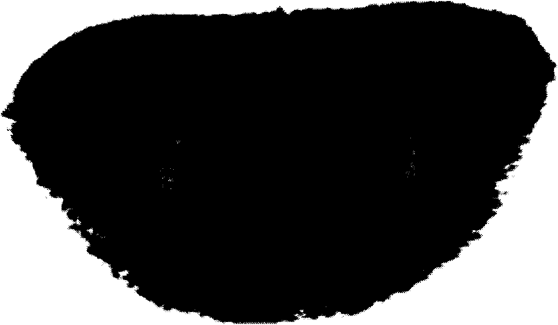 Tongue picture profile extracting method and application thereof