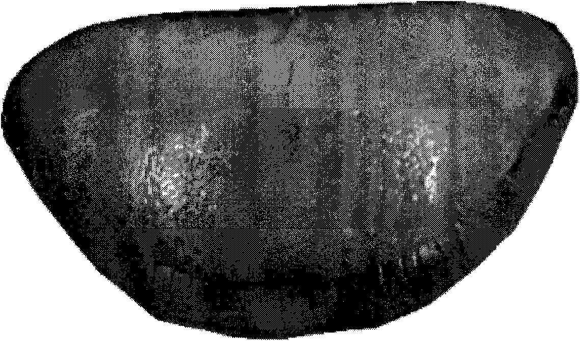 Tongue picture profile extracting method and application thereof