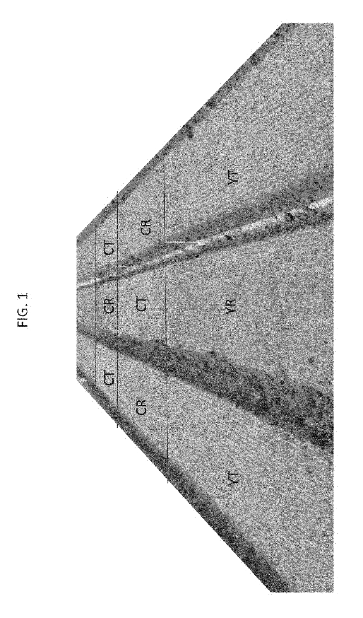 Anti-fungal seed treatment formulations, treated seeds, and methods