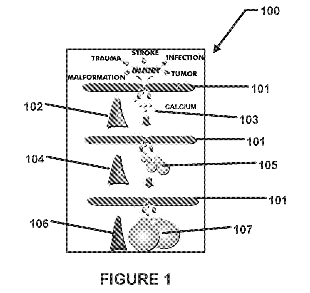 Method using enteric-coated etidronate for treating calcification, hypercalcaemia, and calcinosis of the brain and other organs