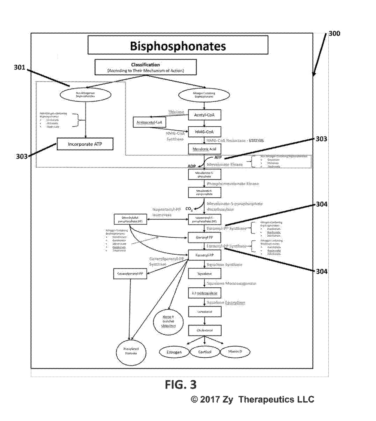 Method using enteric-coated etidronate for treating calcification, hypercalcaemia, and calcinosis of the brain and other organs