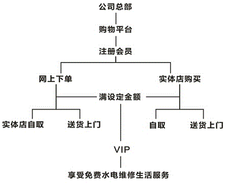 Sales system combining online and physical stores and domestic service