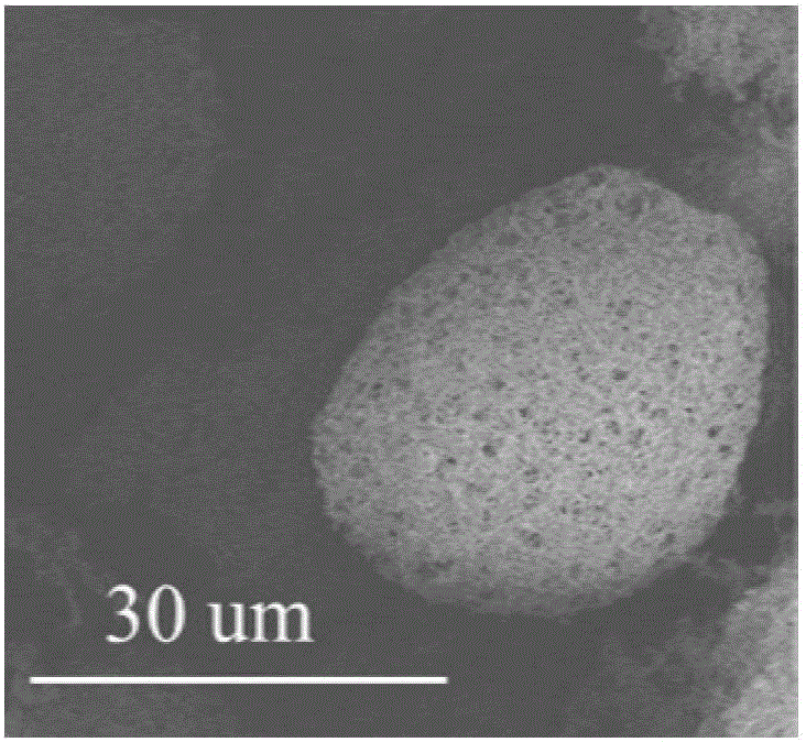 Method for preparing functional porous micro-spheres