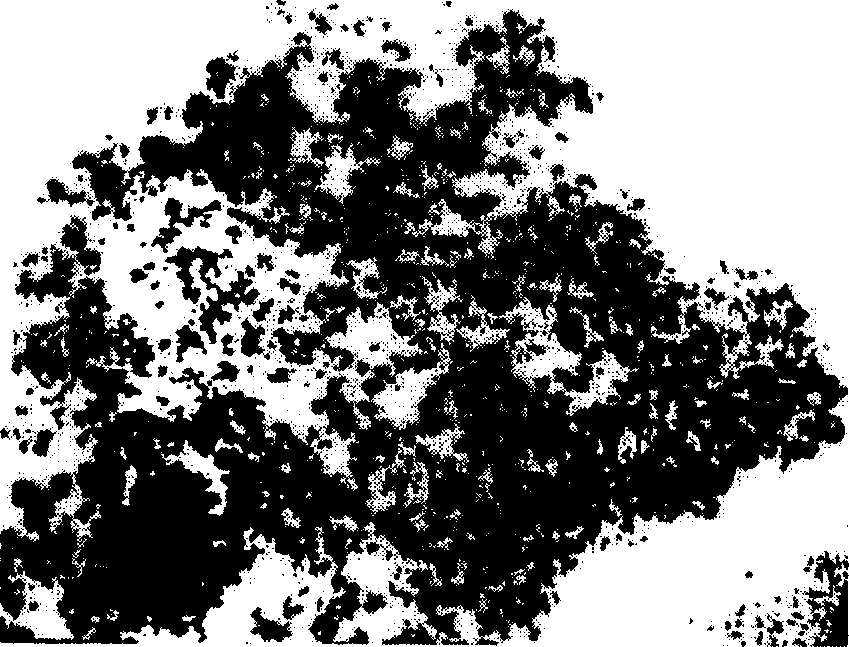 Prepn of super-paramagnetic polymer microsphere