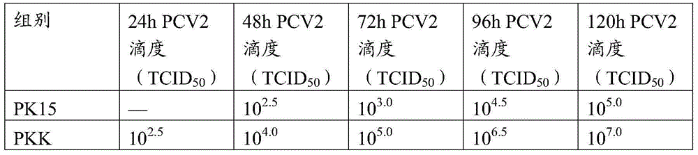 Method of preparing porcine circovirus 2 type sensitive cell line, cell line prepared therethrough, and application of the cell line