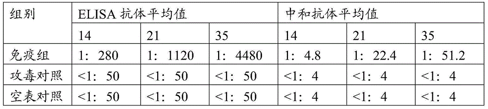 Method of preparing porcine circovirus 2 type sensitive cell line, cell line prepared therethrough, and application of the cell line