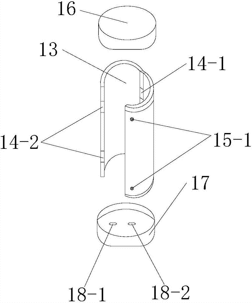 Soil sample collecting device