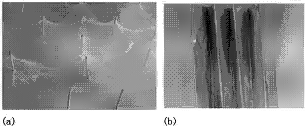 Micro-nano-scale konjac glucomannan fiber scaffold material preparation method