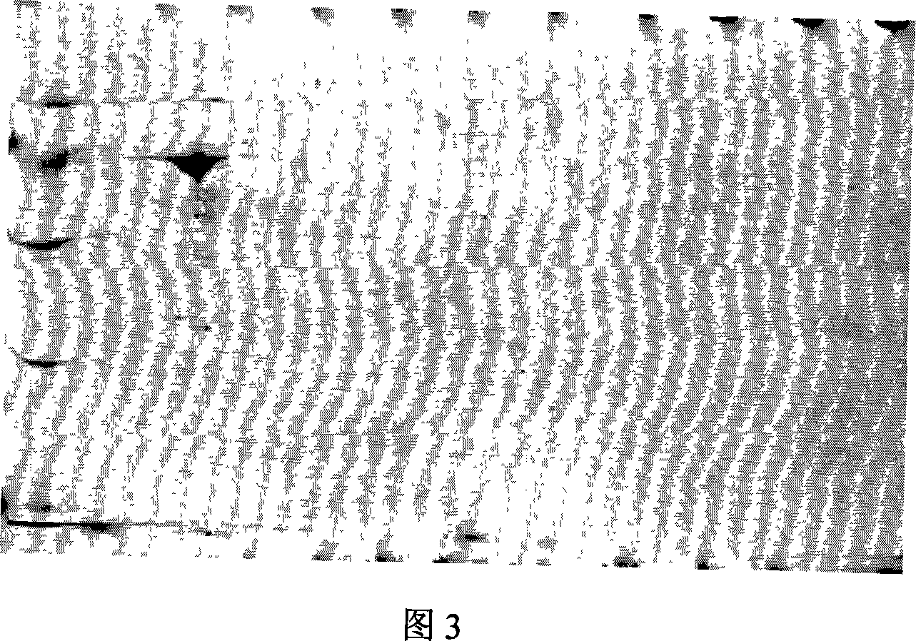 Method for catalyzing and splitting 2-aryl ethylformic acid antimer by using Serratieae fat enzyme