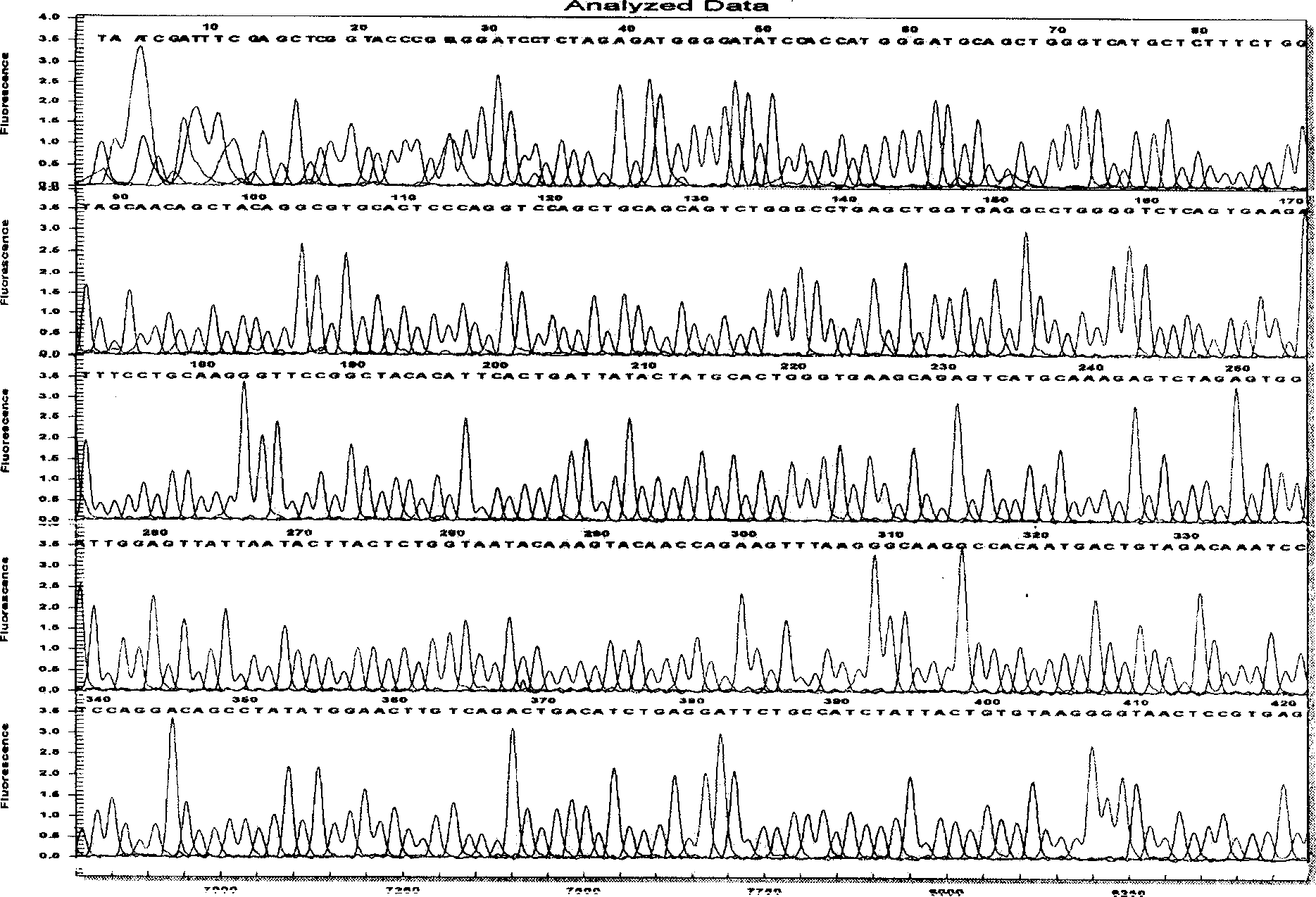 Light and heavy chain variable region genes of monoclonal antibody CAb-2 against human colorectal carcinoma and their application