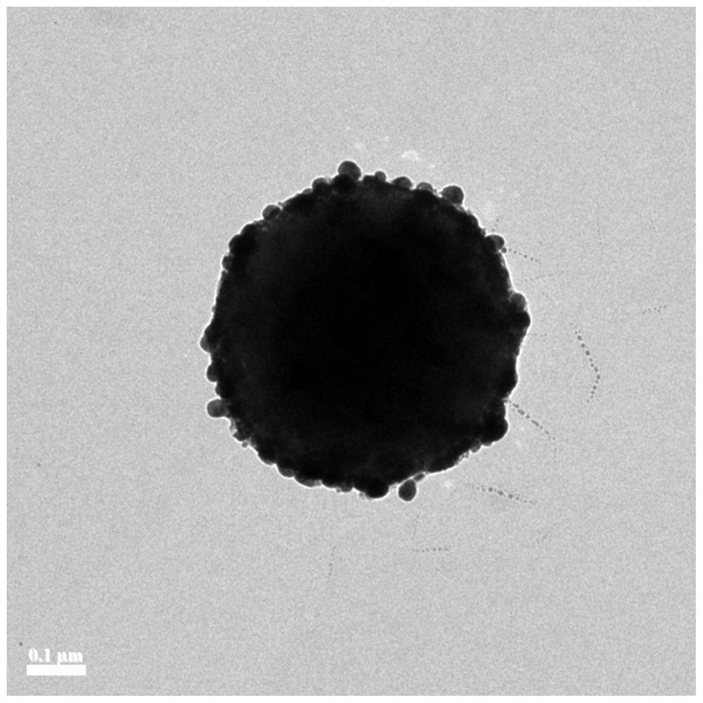 A surface-enhanced Raman spectroscopy detection method for melamine and formaldehyde