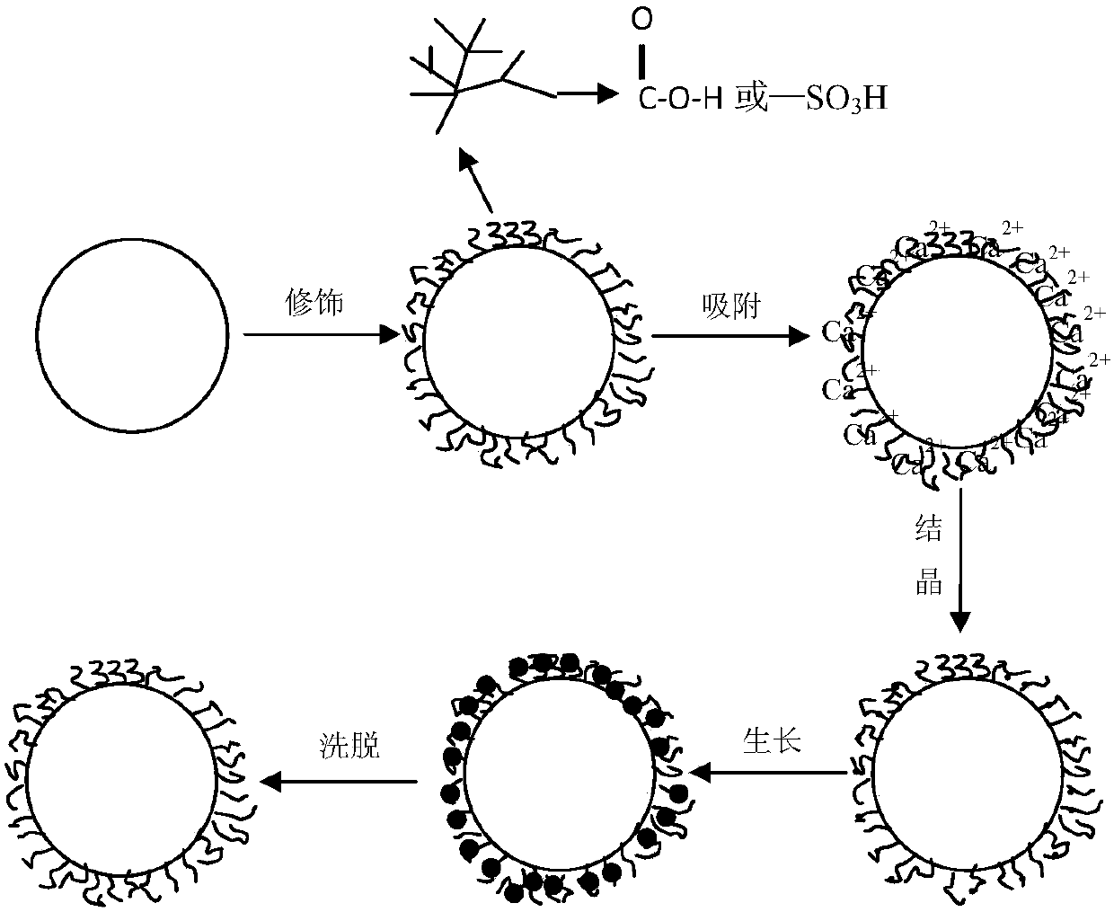 A kind of molecular cluster material of supramolecular polymer and its preparation method and application