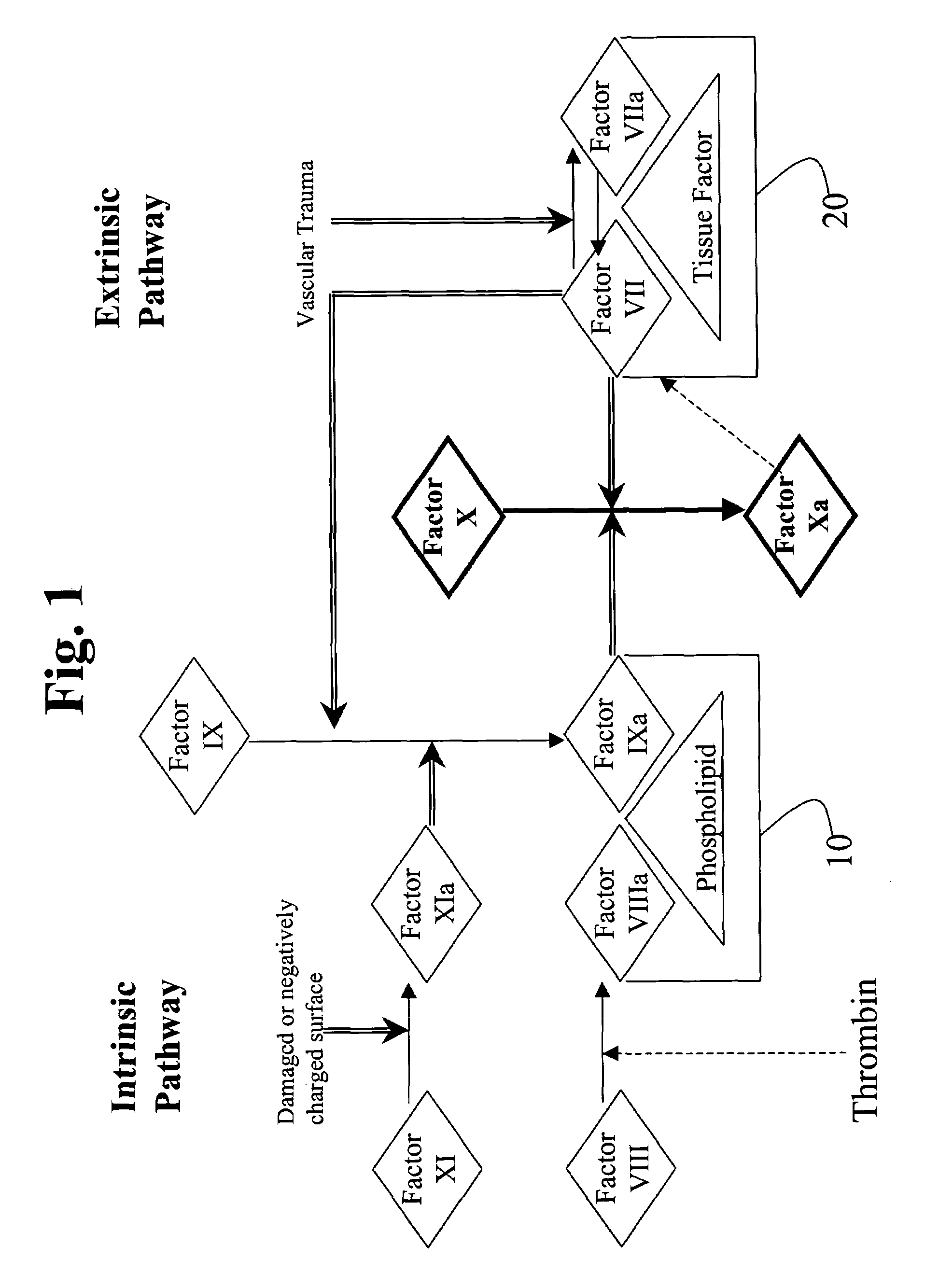 Aryl and heteroaryl compounds, compositions, and methods of use