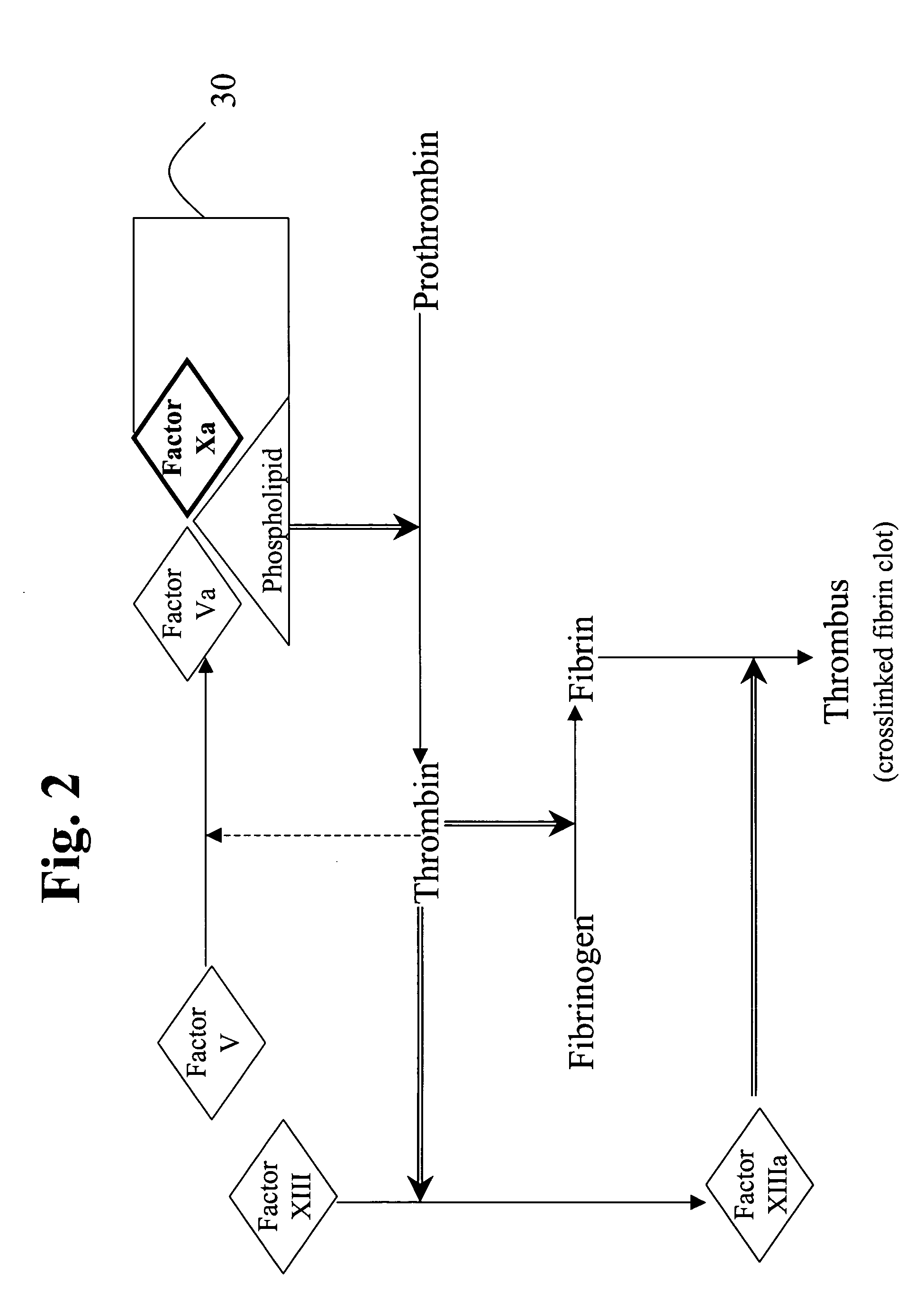 Aryl and heteroaryl compounds, compositions, and methods of use