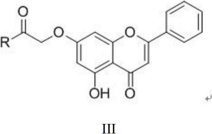 Chrysin amide derivative and medical application thereof