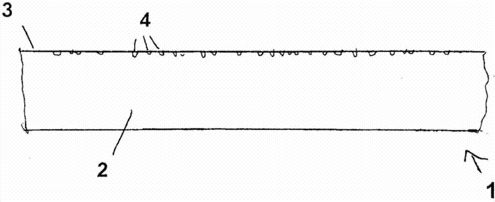 Moulded skin and method for producing moulded skin