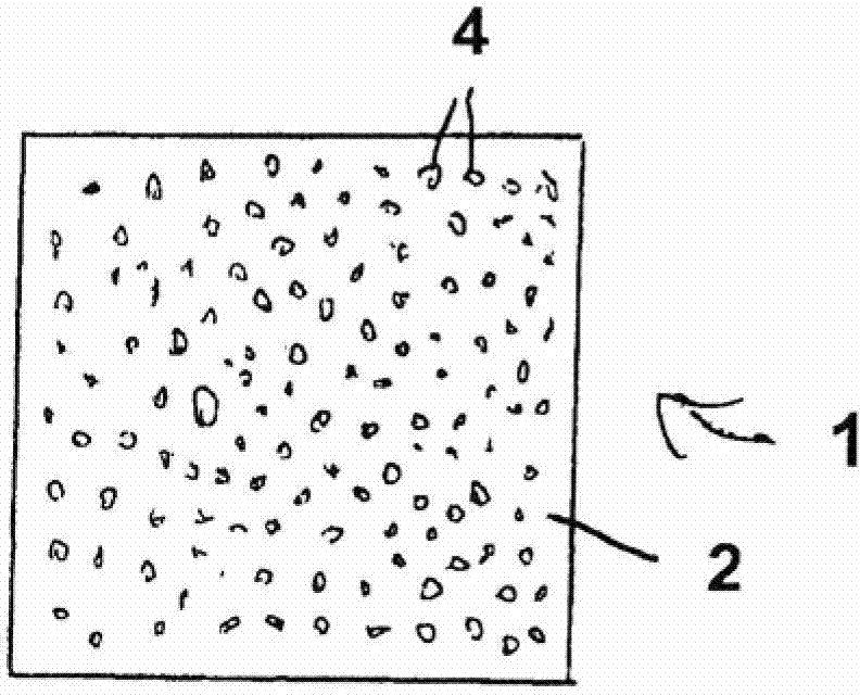 Moulded skin and method for producing moulded skin