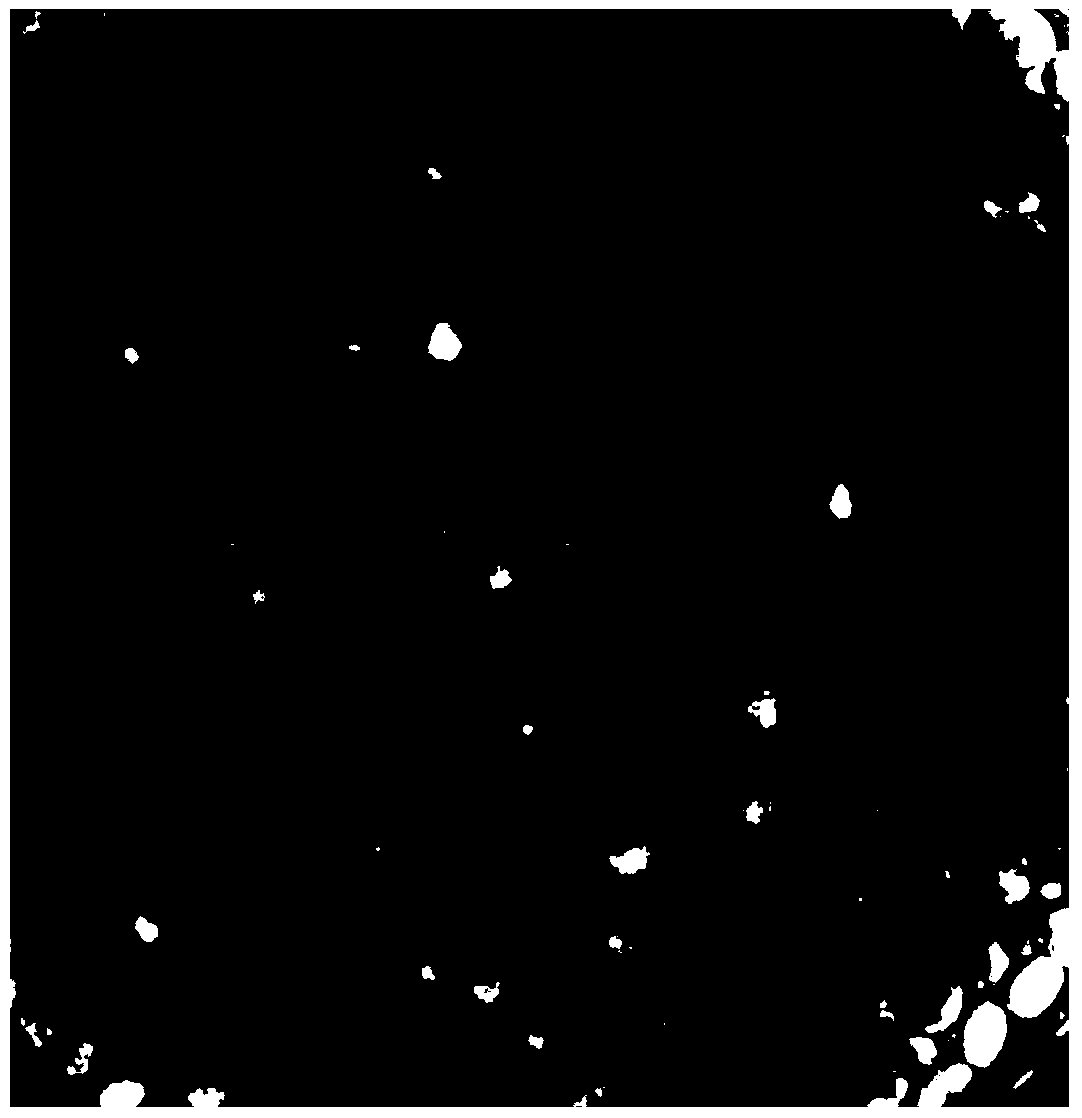 Aerobic nitration granule sludge long-term storage and activity recovery method