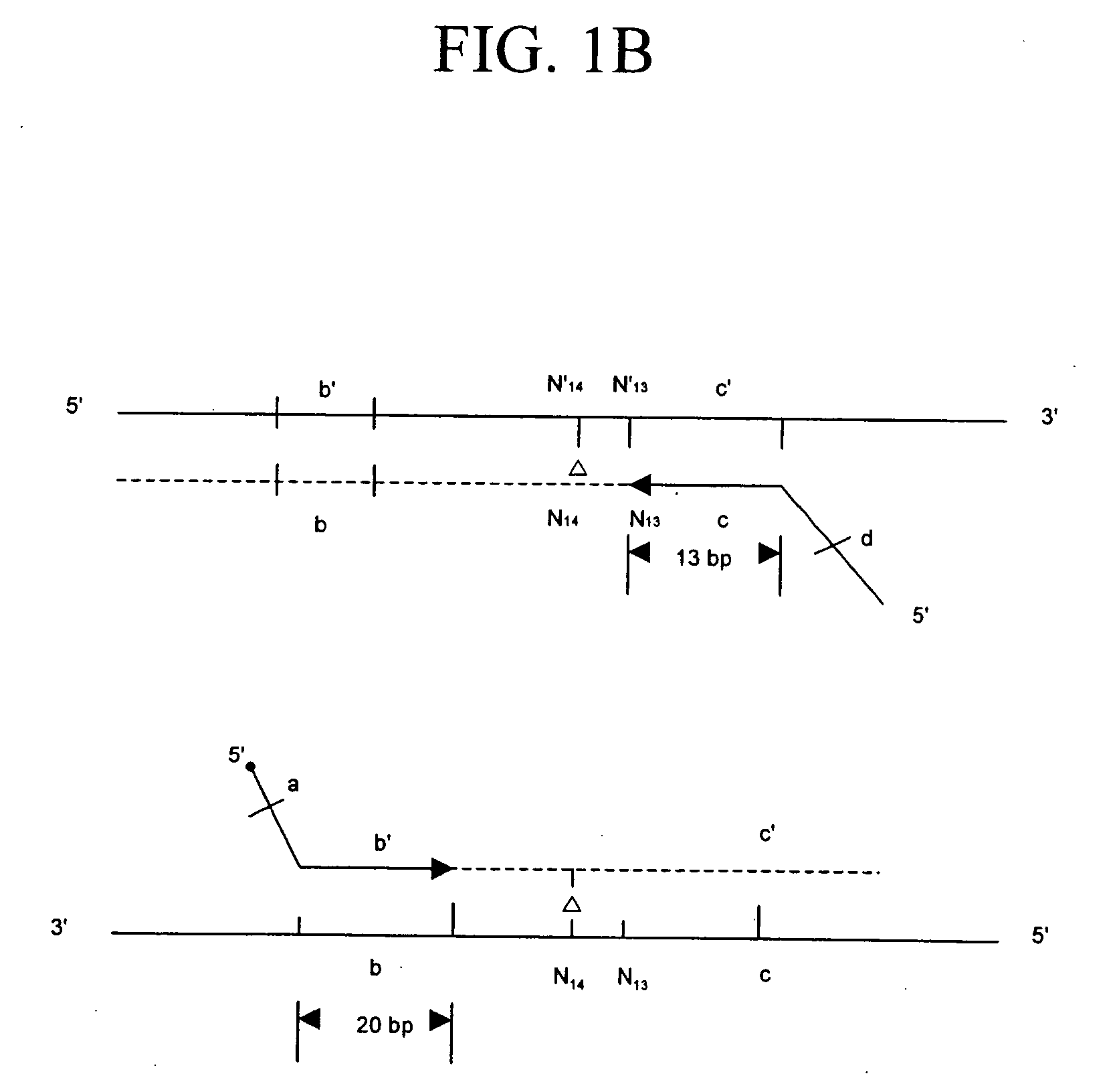 Rapid analysis of variations in a genome