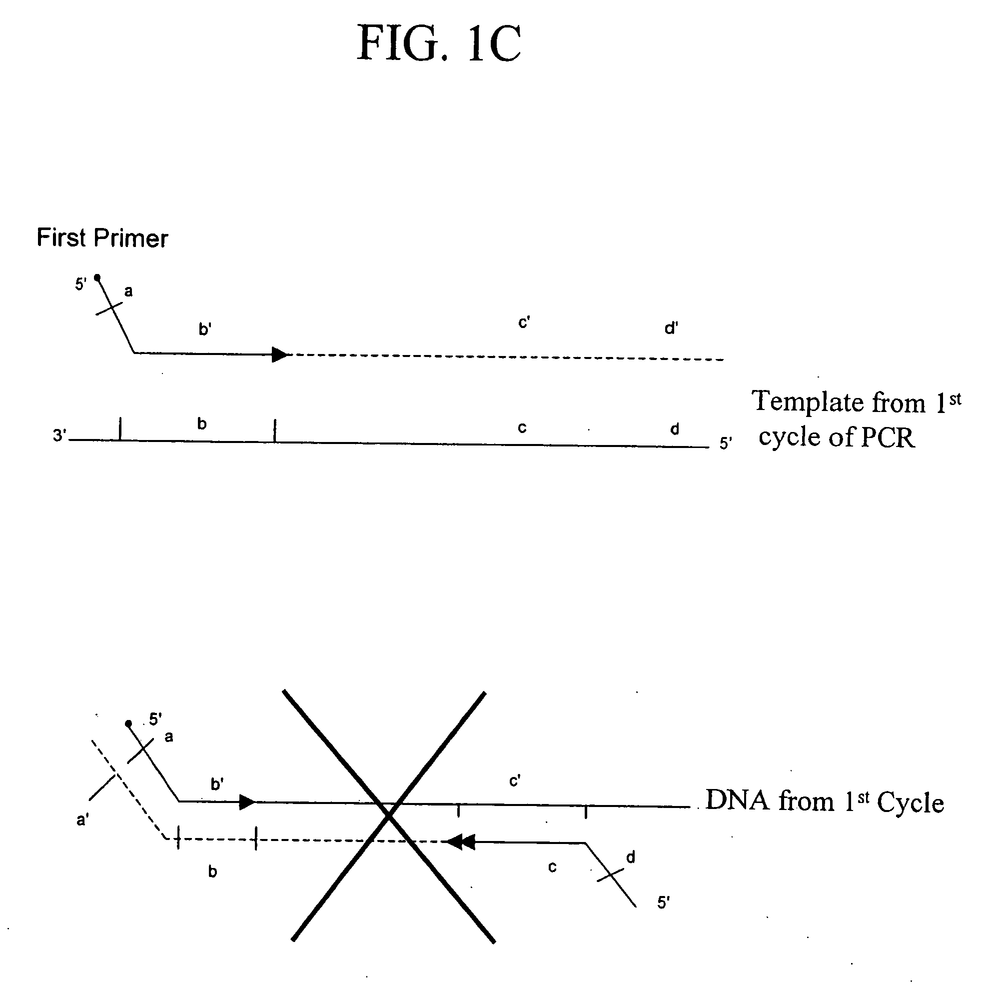 Rapid analysis of variations in a genome