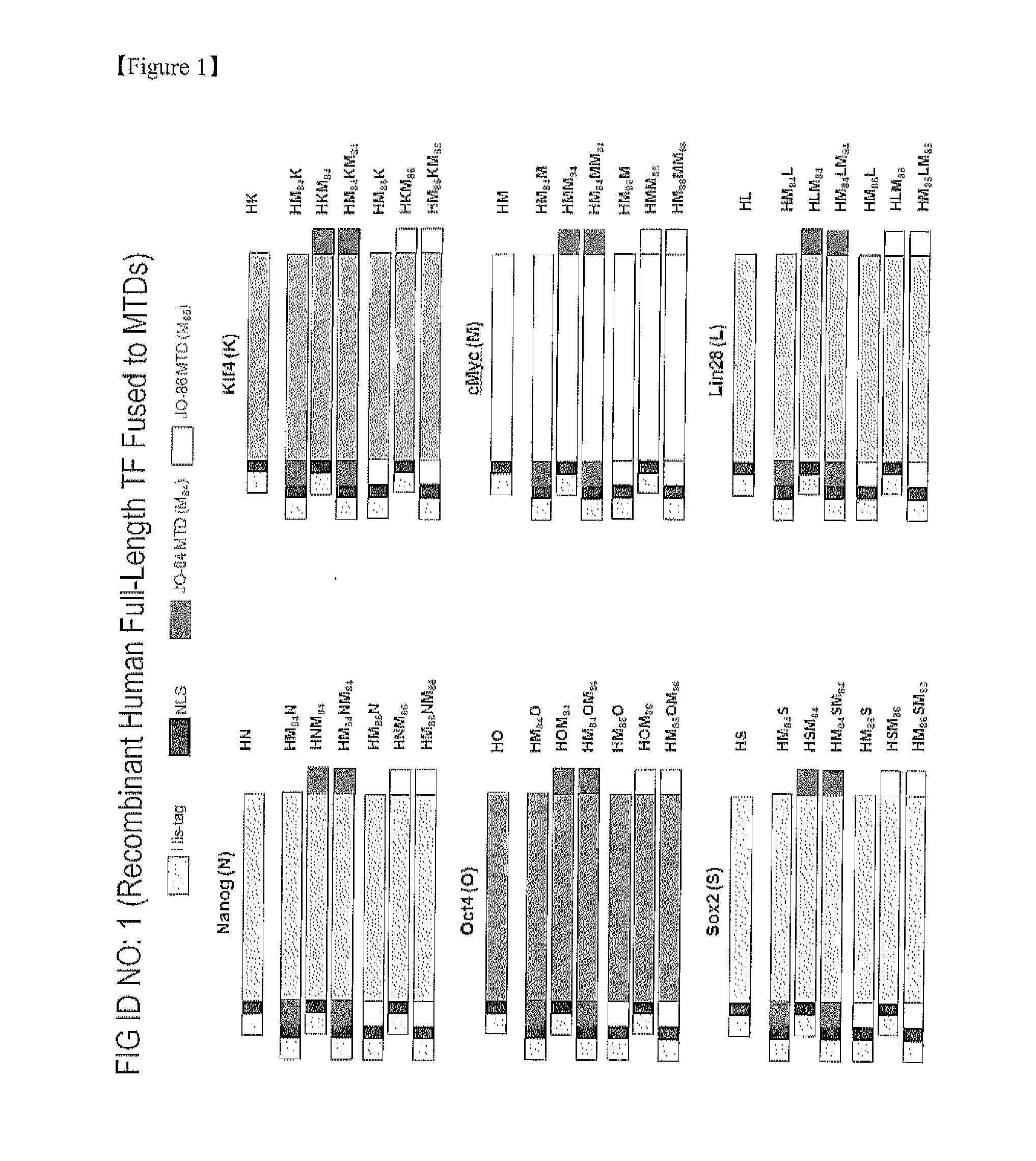 Establishment of induced pluripotent stem cell using cell-permeable reprogramming transcription factor for customized stem cell therapy