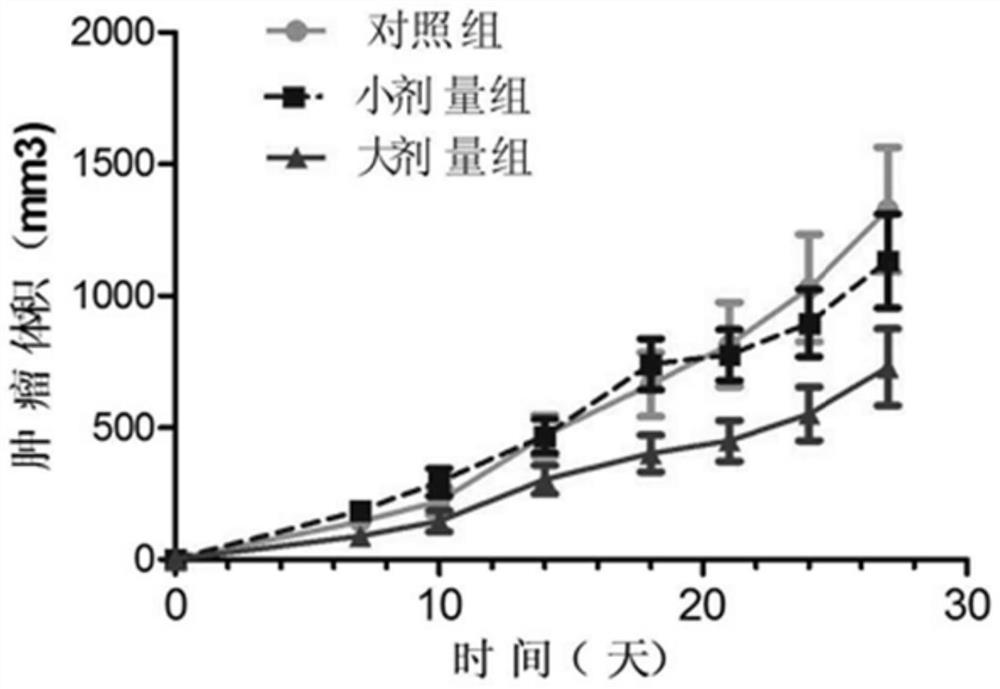 Tetrodotoxin oral preparation, tetrodotoxin freeze-dried tablet and application of tetrodotoxin oral preparation