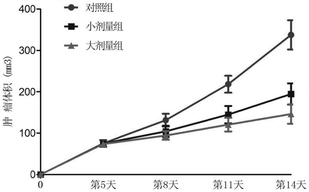 Tetrodotoxin oral preparation, tetrodotoxin freeze-dried tablet and application of tetrodotoxin oral preparation