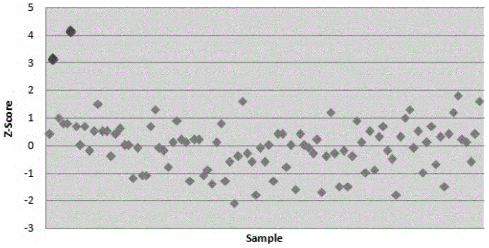 Primer group, method and kit for detecting triploids of fetus