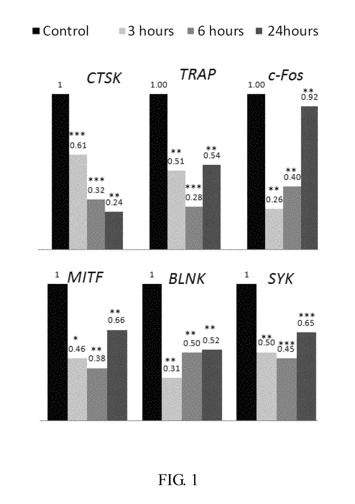 Method for preventing and/or treating osteoporosis by using <i>Streptococcus thermophilus </i>TC1633 strain and its metabolites