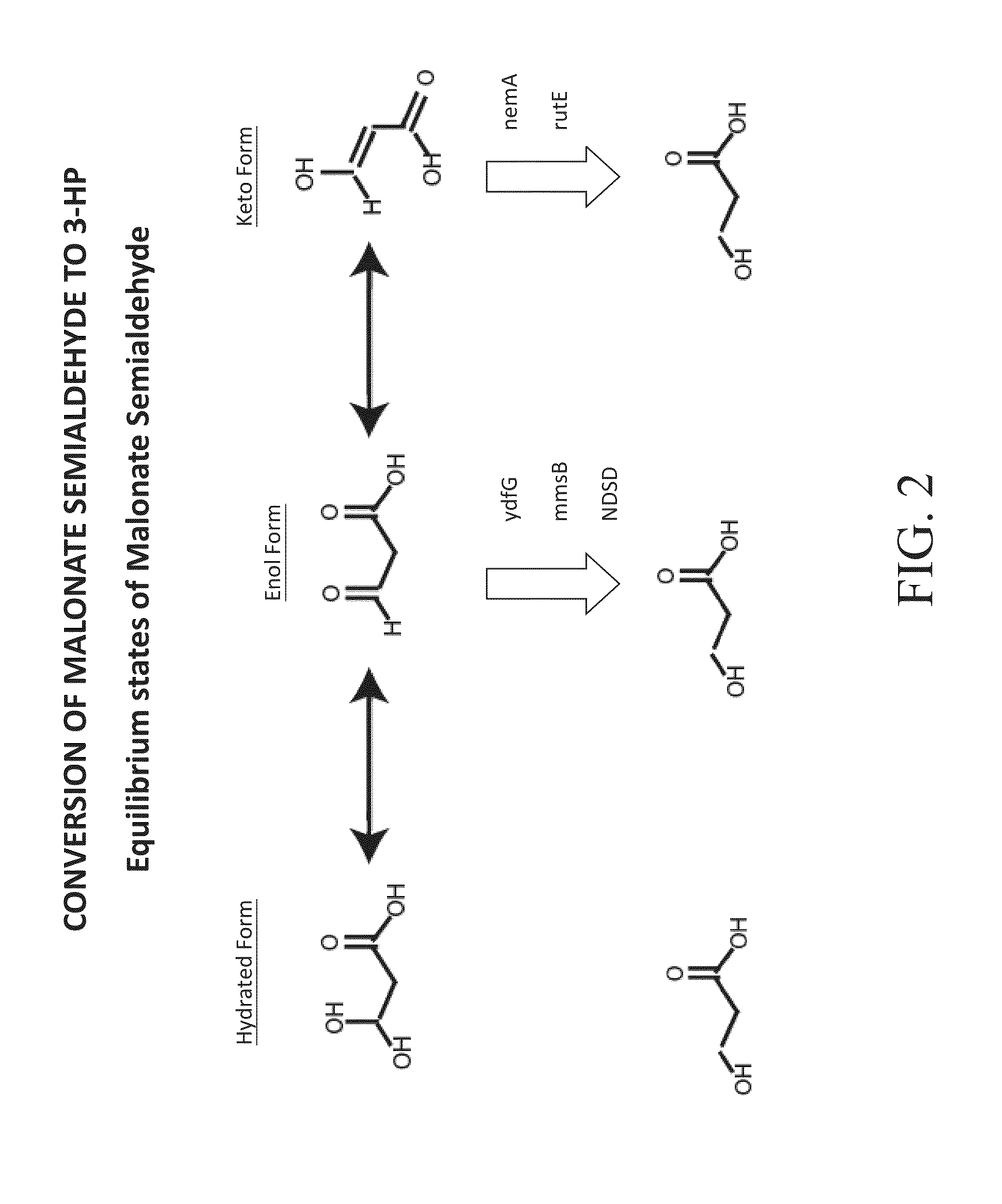 Bioproduction of chemicals