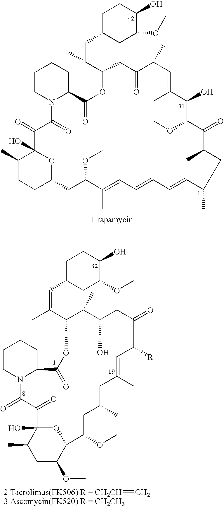 Processes for preparing water-soluble polyethylene glycol conjugates of macrolide immunosuppressants