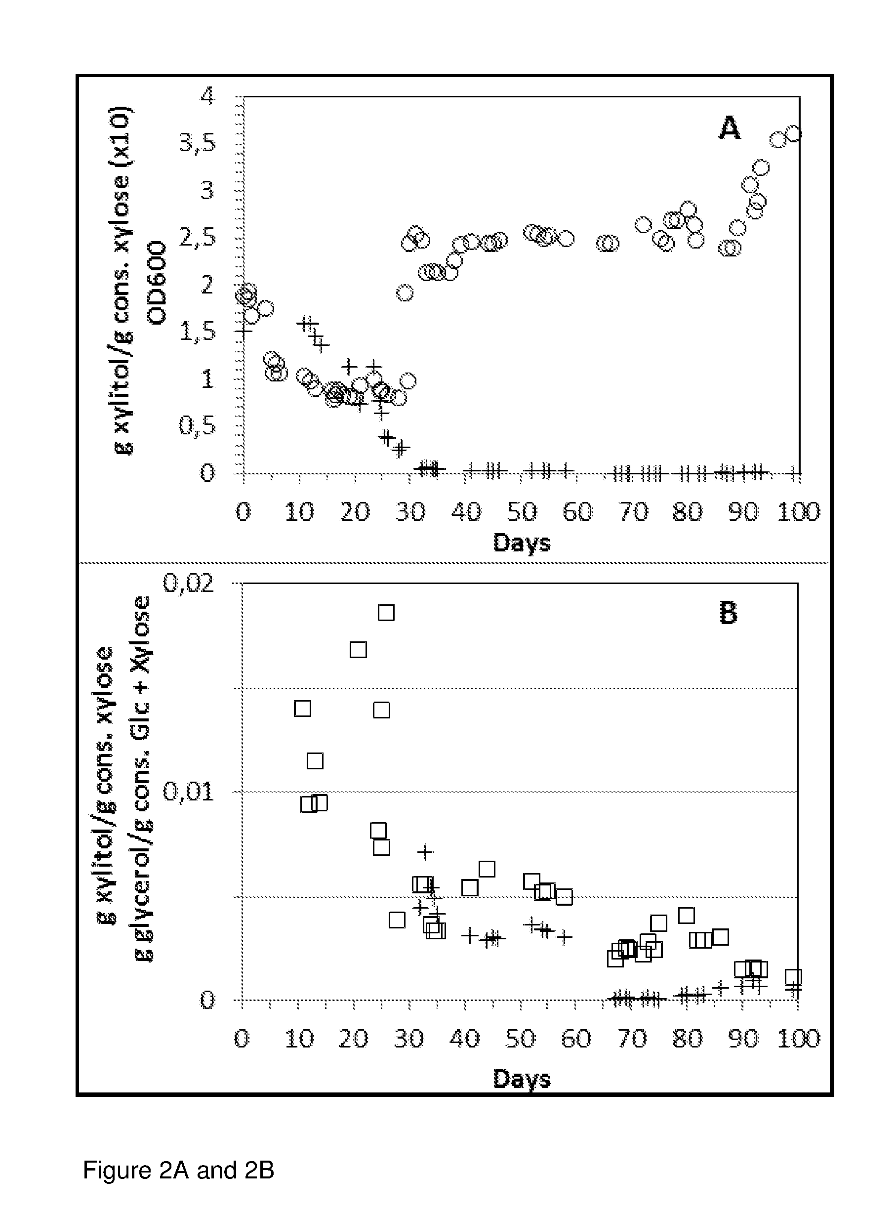 Saccharomyces cerevisiae strains