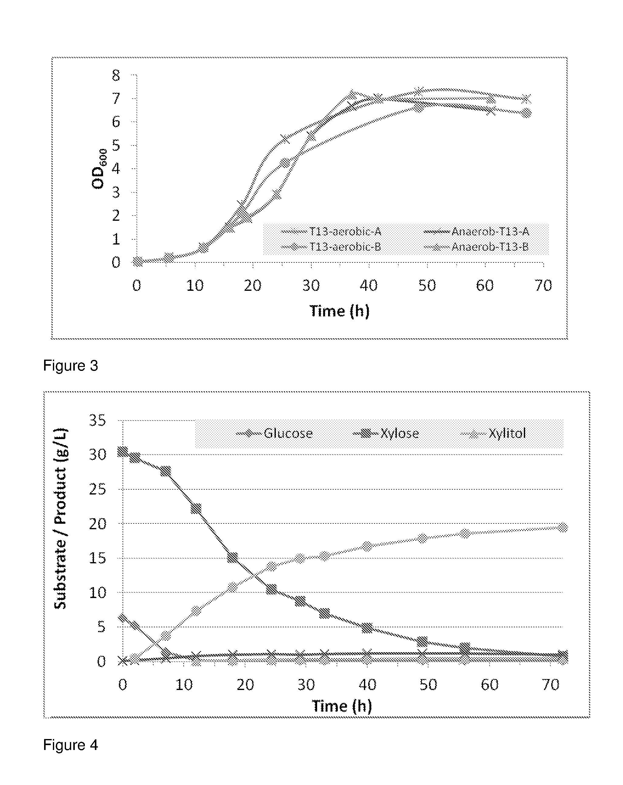 Saccharomyces cerevisiae strains