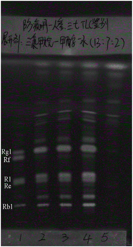 Detection method of ginseng/pseudo-ginseng-containing traditional Chinese medicine preparation