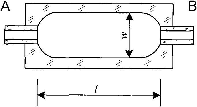 Cell morphology microscopic examination device and method based on staining technology