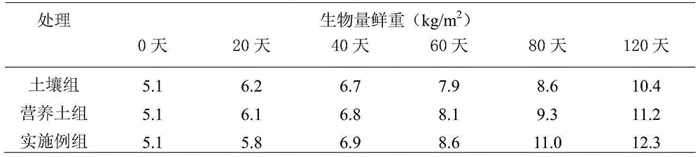 Roof turf matrix with spent mushroom compost of lentinula edodes and biogas slurry as main materials and preparation method of roof turf matrix