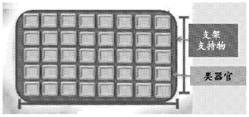 Compositions and methods for restoring or preventing loss of vision caused by disease or traumatic injury