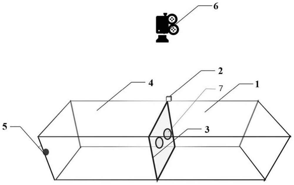 Fish foraging behavior testing method and device