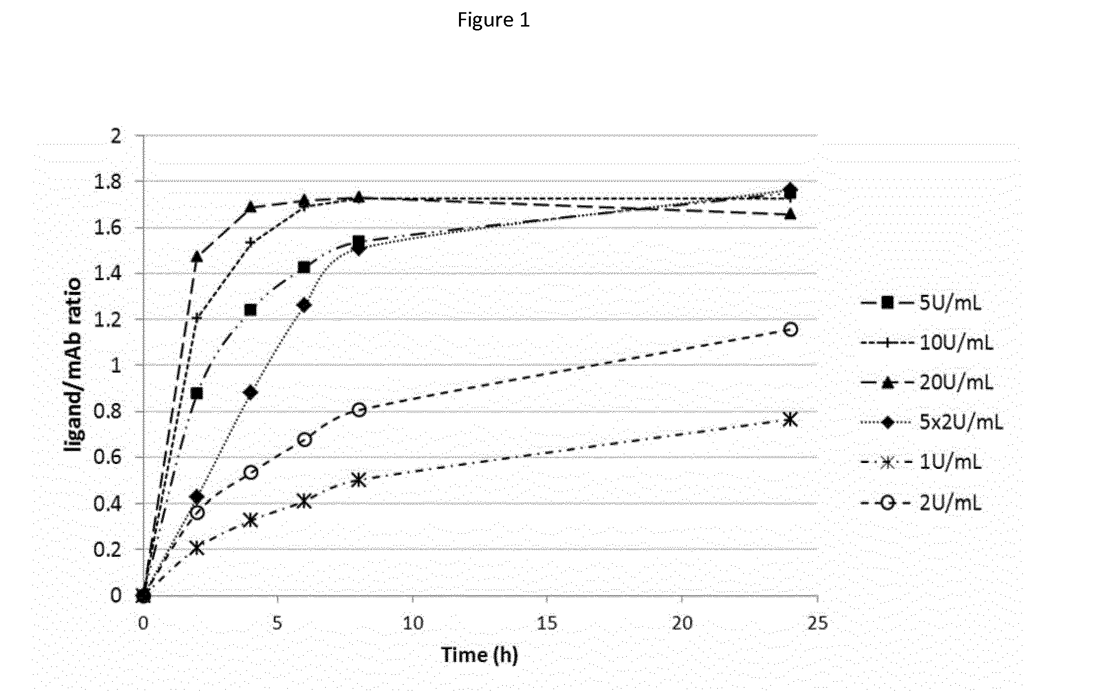 Enzymatic conjugation of polypeptides