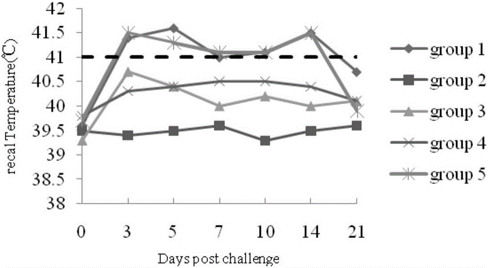 Porcine circovirus type 2 strain, inactivated vaccine prepared from porcine circovirus type 2 strain and application of porcine circovirus type 2 strain